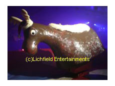 Rodeo Reindeer Machine for hire