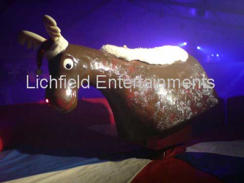 Rodeo Reindeer Ride for hire. Perfect for Christmas parties